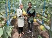 Dukung Pengembangan Pertanian, BRI Region 13 Malang Lakukan Pendampingan Ke Pelaku Usaha
