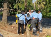 DLH Kota Malang Pulihkan RTH Dengan Penghijauan Penanaman Bibit Pohon