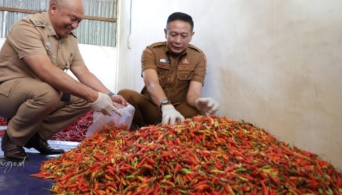 Cabai Meroket, Pemkot Malang Aktifkan Warung Tekan Inflasi
