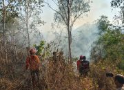 Terjebak Kebakaran Gunung Orak-arik, 4 Pelajar Berhasil Dievakuasi