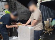 Bea Cukai Malang Amankan Rokok Ilegal di Jasa Ekspedisi