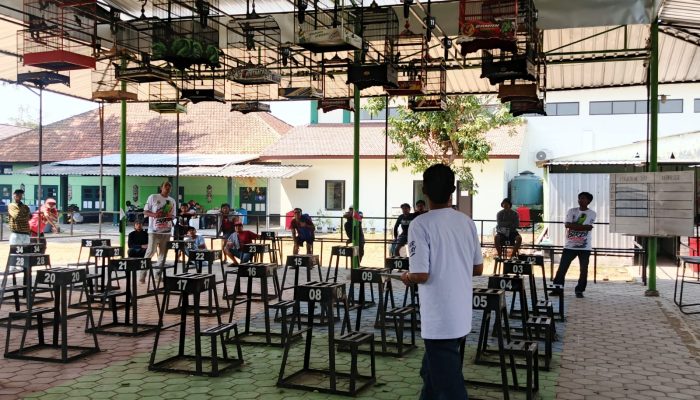Kicaumania Lintas Daerah Meriahkan Mahesa Bird Contest