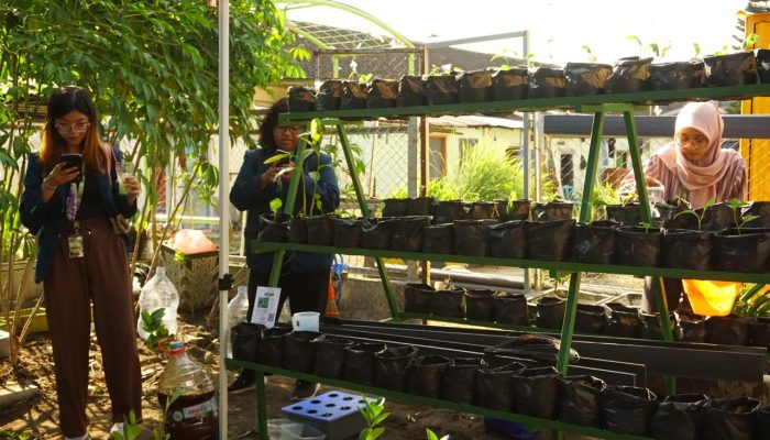 Mahasiswa UB Ubah Lahan Terbatas Jadi Produktif
