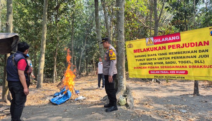 Polsek Plosoklaten Kediri Bongkar Arena Sabung Ayam