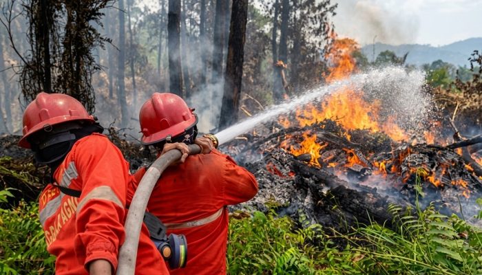 Kemenhut Perkuat Operasi, 270 Hotspot Karhutla Terdeteksi