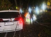Pohon Tumbang di Dr. Cipto, Satu Mobil Rusak