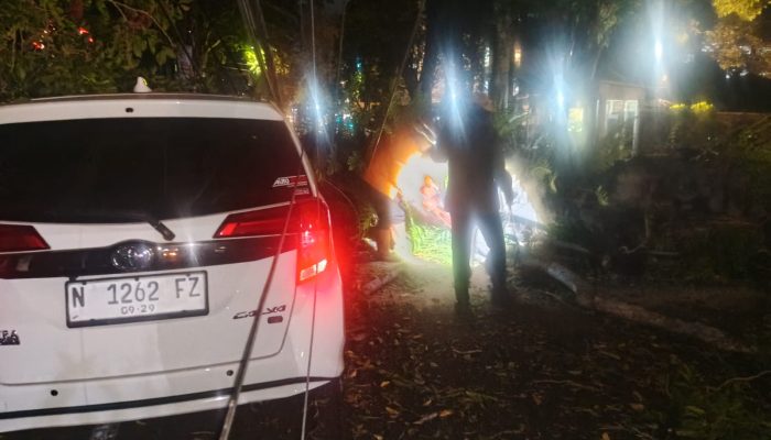Pohon Tumbang di Dr. Cipto, Satu Mobil Rusak