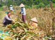 Polresta Malang Kota Perkuat Ketahanan Pangan