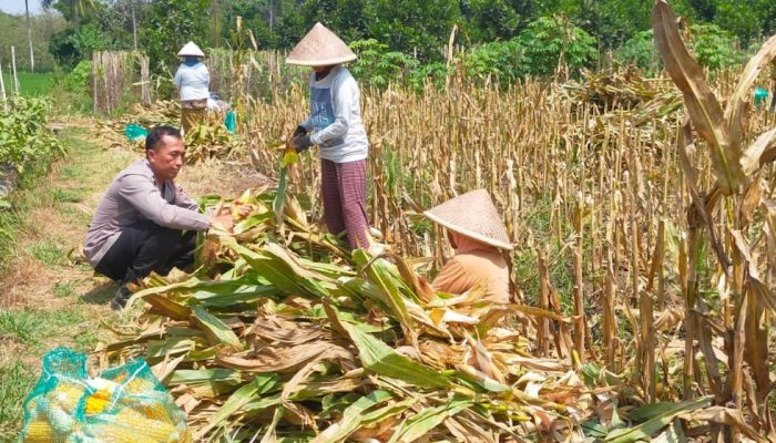 Polresta Malang Kota Perkuat Ketahanan Pangan