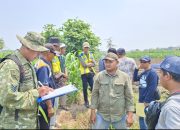 Babinsa Kepung Dampingi Survei Irigasi Sawah