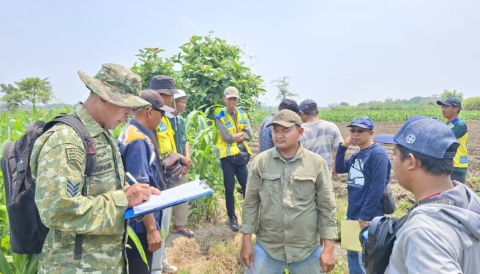 Babinsa Kepung Dampingi Survei Irigasi Sawah