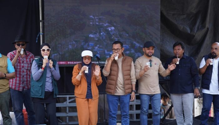 Festival Nyusu Bareng Angkat Potensi Susu Dusun Brau