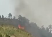 Karhutla Tahura R. Soerjo Padam, Ancaman Bara Masih Dipantau
