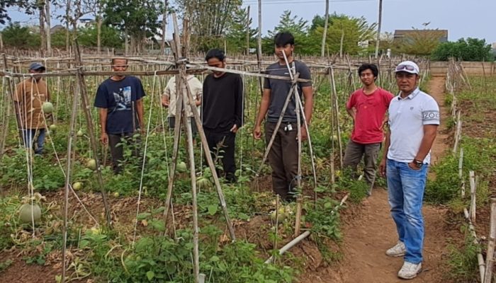 Solusi Tanah Rusak, Petani Gandeng Mahasiswa Pertanian Kembangkan Pupuk SULAMI